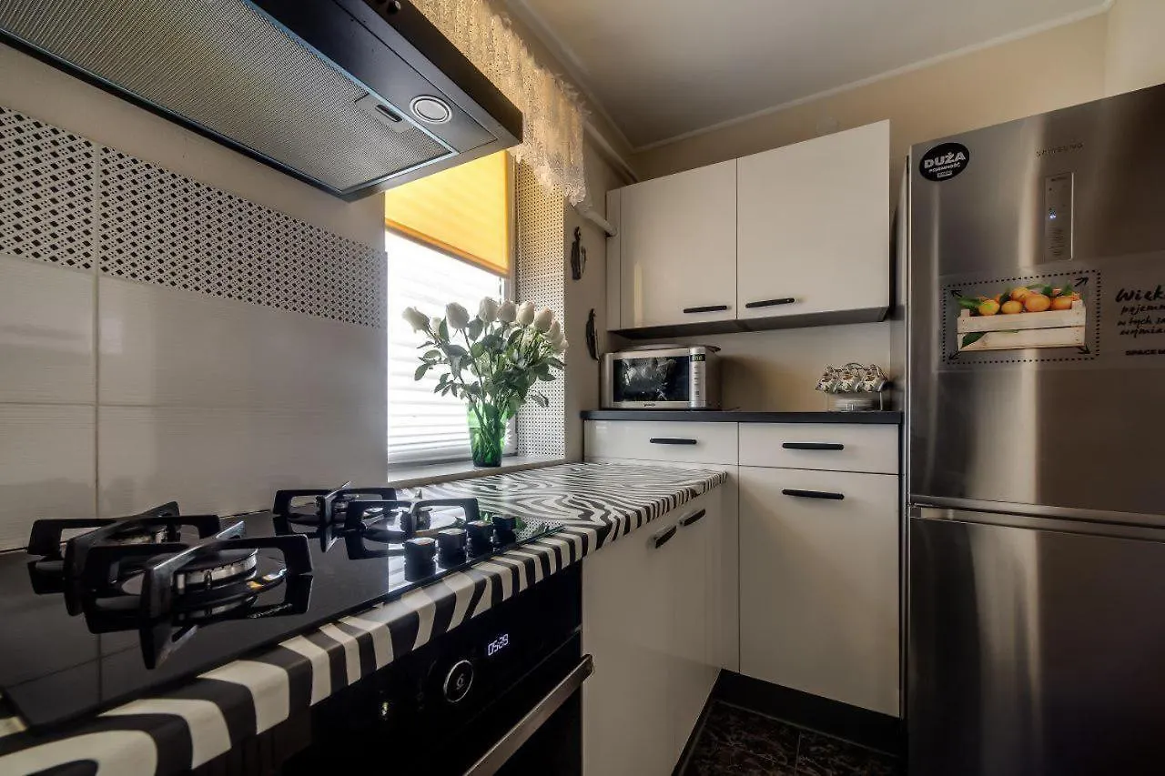 Apartamenty On Kryvonosa Lviv Ukraine